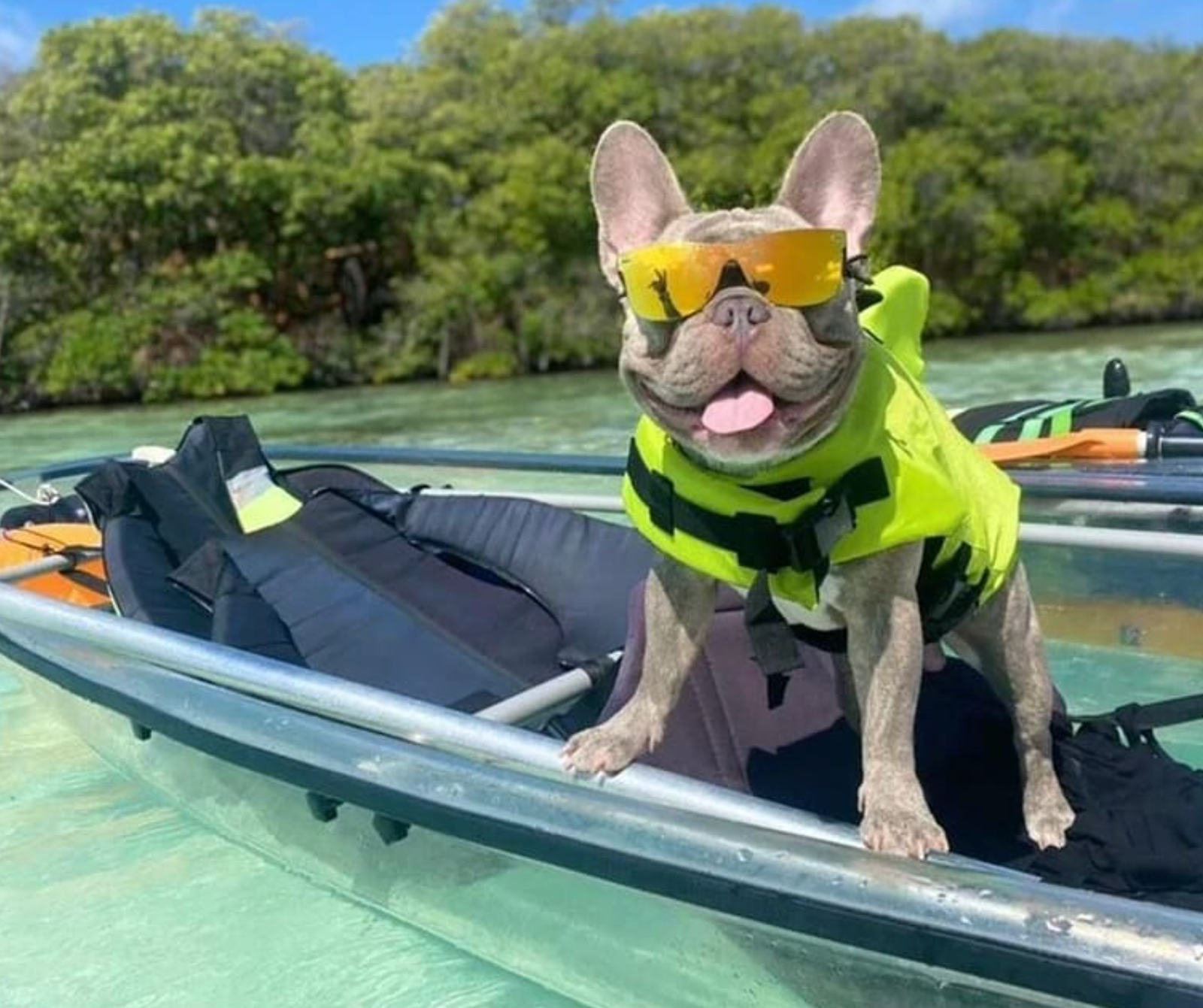 Recorrido en Kayak Trasnparente