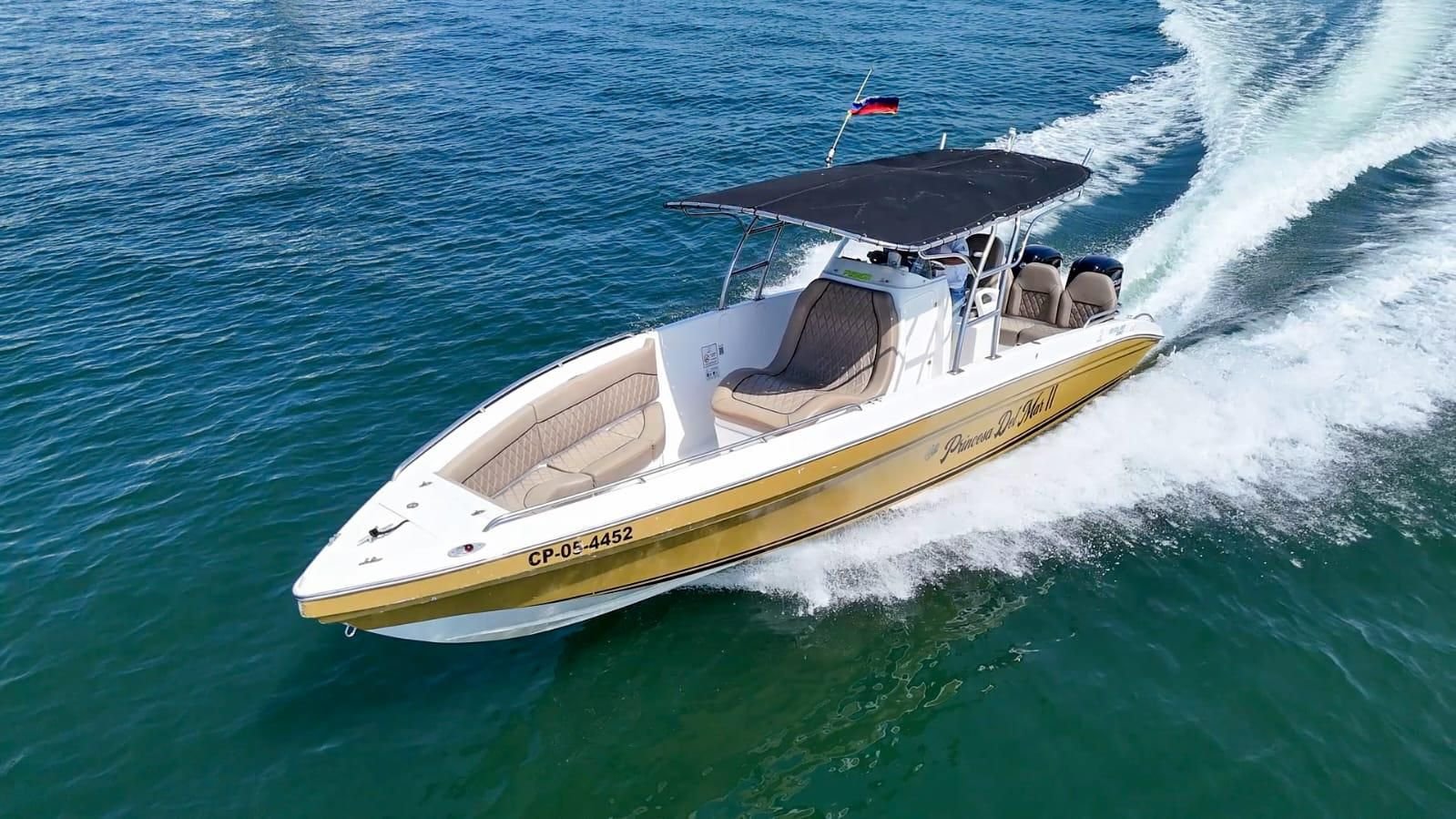 BOTE DEPORTIVO PRINCESA DEL MAR 29 FT CARTAGENA